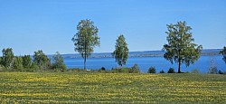 Blick auf den Vätternsee mit 1900 km2 Fläche