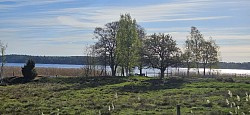Die Fahrt fürt durch traumhafte Landschaft.