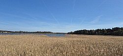 naturreservat